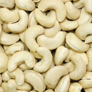 Cashew 1 Copy 500x500 2 300x300