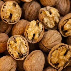 whatsapp image 2025 11 18 at 02.04.05